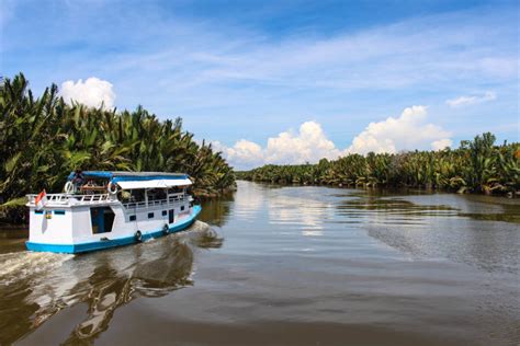 Vườn Quốc Gia Tanjung Puting: Trải nghiệm Biển Khơi và Gặp Gỡ Các Con Cá Lớn