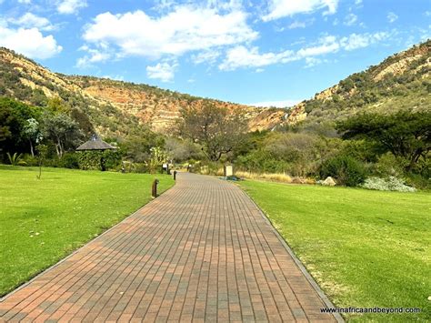 Walter Sisulu National Botanical Garden: Cánh đồng hoa dại và vẻ đẹp thiên nhiên hoang sơ!